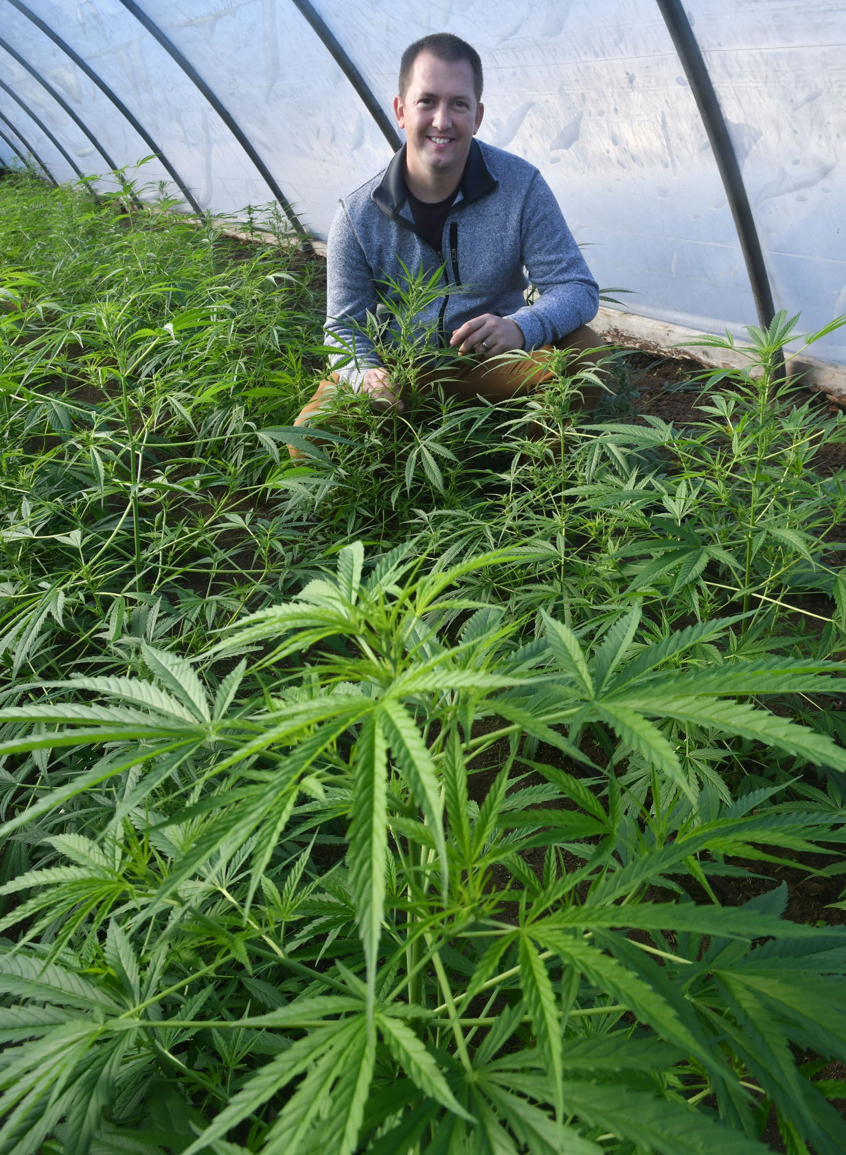 120520-qc-nws-hemp-086